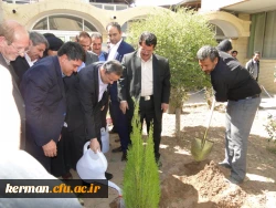 انجام مراسم غرس نهال به مناسبت هفته منابع طبیعی توسط استاندار در دانشگاه فرهنگیان کرمان
