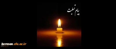 هوالباقی

مازبالاییم و بالا می روییم...