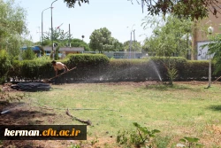 تجهیز فضای سبز به سیستم آبیاری قطره ای