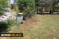 تجهیز فضای سبز به سیستم آبیاری قطره ای