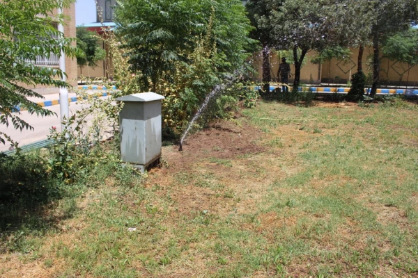 تجهیز فضای سبز به سیستم آبیاری قطره ای