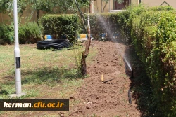تجهیز فضای سبز به سیستم آبیاری قطره ای