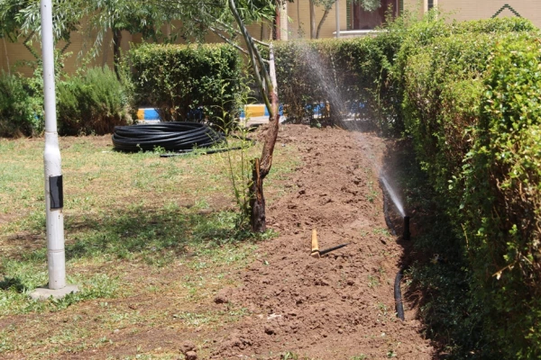 تجهیز فضای سبز به سیستم آبیاری قطره ای