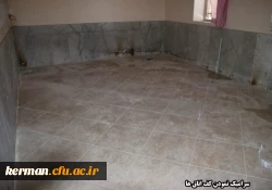 ادامه روند بازسازی و تعمیرات