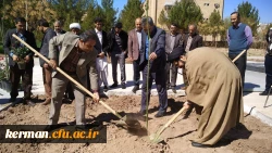 به مناسبت هفته درختکاری