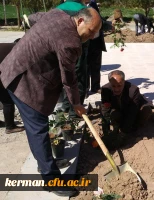 به مناسبت هفته درختکاری