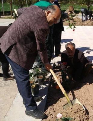 به مناسبت هفته درختکاری