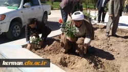 به مناسبت هفته درختکاری