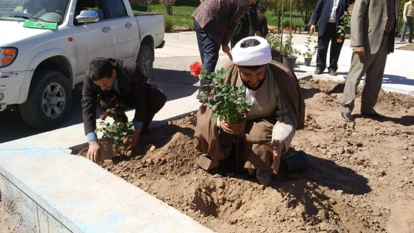 به مناسبت هفته درختکاری