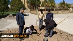 به مناسبت هفته درختکاری