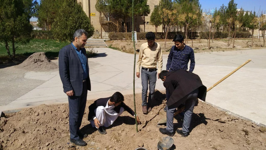 به مناسبت هفته درختکاری