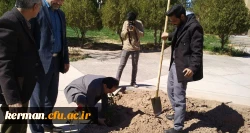 به مناسبت هفته درختکاری