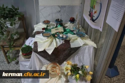 استقبال از میهمانان نوروزی و برپایی سفره هفت سین