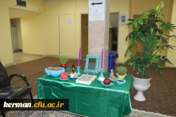 استقبال از میهمانان نوروزی و برپایی سفره هفت سین