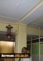 ترک خوردگی ساختمان های پردیس خواجه نصیرالدین طوسی در اثر زلزله