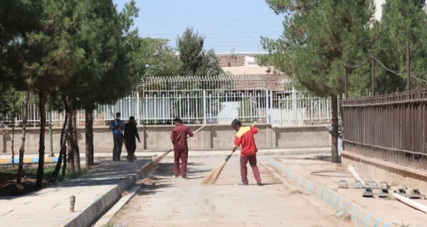 آماده سازی فضای دانشگاه جهت آغاز سال تحصیلی جدید