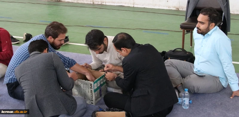 مسابقه نجات تخم مرغ