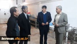 مدیر کل امور دانشجویی دانشگاه فرهنگیان کشور، شب یلدا را همراه دانشجو معلمان دانشگاه فرهنگیان کرمان جشن گرفت. 5