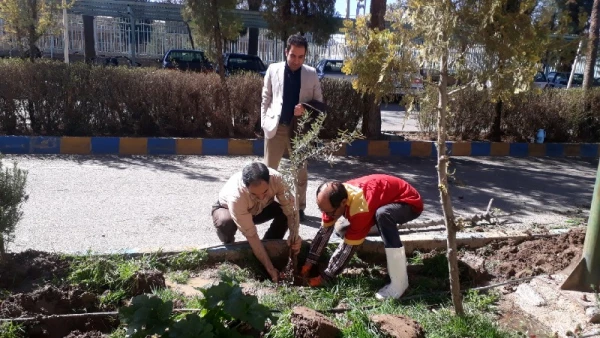 گرامیداشت هفته منابع طبیعی و روز درختکاری در دانشگاه فرهنگیان استان کرمان  3