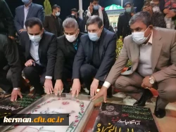 ادای احترام دکتر خنیفر به مقام شامخ شهید سلیمانی در گلزار شهدای کرمان 4