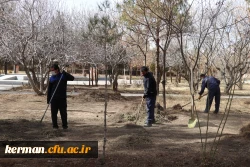 بهسازی ومرمت فضای سبز پردیس خواجه نصیر الدین طوسی (برادران )دانشگاه فرهنگیان کرمان به روایت تصویر  2