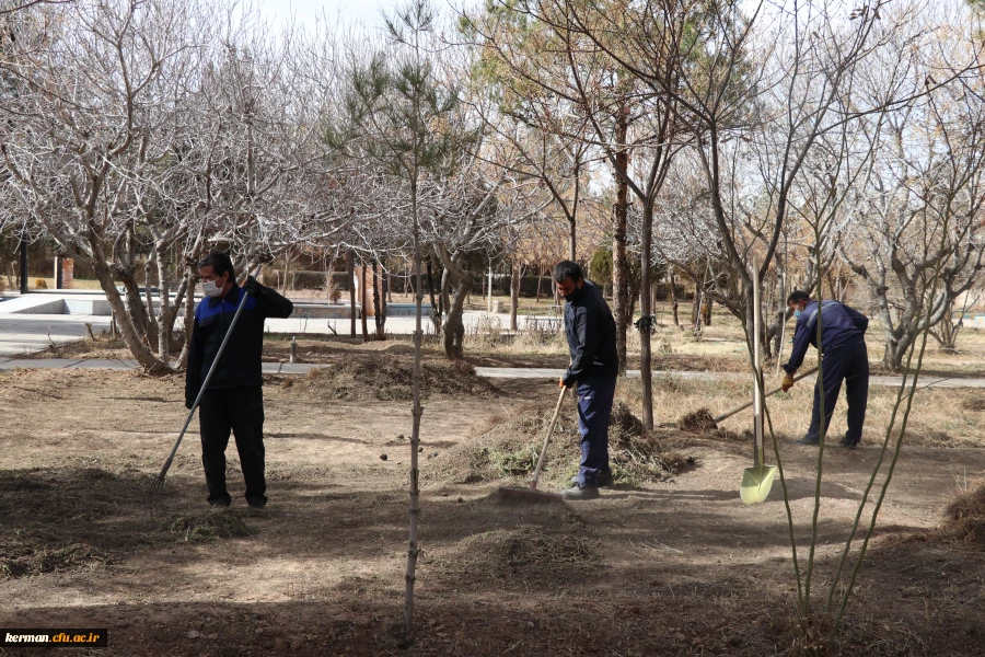 بهسازی ومرمت فضای سبز پردیس خواجه نصیر الدین طوسی (برادران )دانشگاه فرهنگیان کرمان به روایت تصویر  2