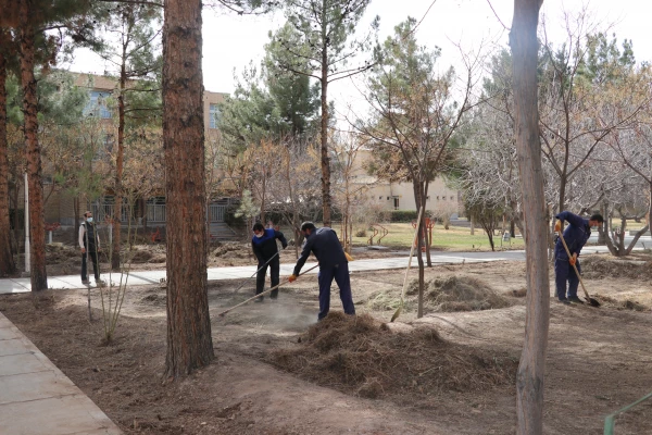بهسازی ومرمت فضای سبز پردیس خواجه نصیر الدین طوسی (برادران )دانشگاه فرهنگیان کرمان به روایت تصویر  2