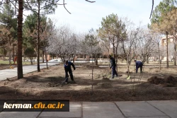 بهسازی ومرمت فضای سبز پردیس خواجه نصیر الدین طوسی (برادران )دانشگاه فرهنگیان کرمان به روایت تصویر  2