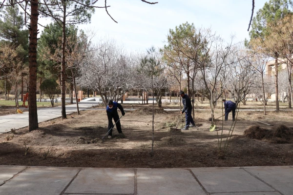 بهسازی ومرمت فضای سبز پردیس خواجه نصیر الدین طوسی (برادران )دانشگاه فرهنگیان کرمان به روایت تصویر  2