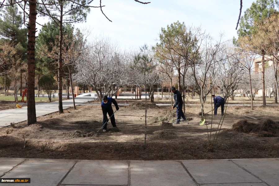بهسازی ومرمت فضای سبز پردیس خواجه نصیر الدین طوسی (برادران )دانشگاه فرهنگیان کرمان به روایت تصویر  2