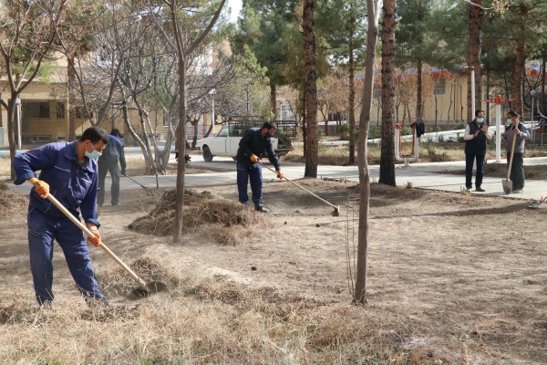 بهسازی ومرمت فضای سبز پردیس خواجه نصیر الدین طوسی (برادران )دانشگاه فرهنگیان کرمان به روایت تصویر  2
