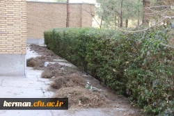 بهسازی ومرمت فضای سبز پردیس خواجه نصیر الدین طوسی (برادران )دانشگاه فرهنگیان کرمان به روایت تصویر  2