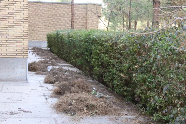 بهسازی ومرمت فضای سبز پردیس خواجه نصیر الدین طوسی (برادران )دانشگاه فرهنگیان کرمان به روایت تصویر  2
