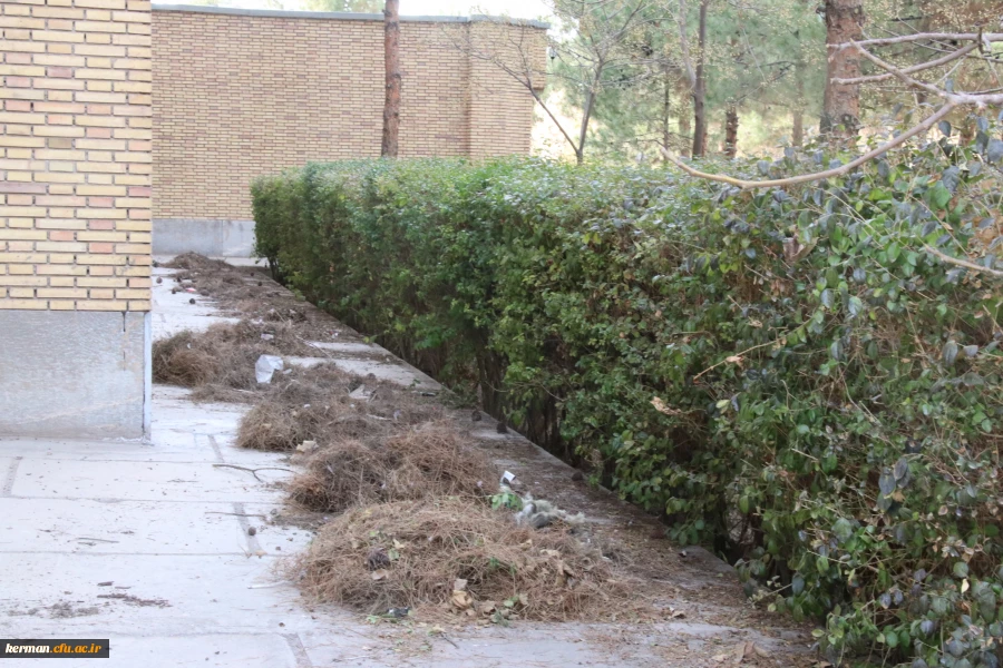 بهسازی ومرمت فضای سبز پردیس خواجه نصیر الدین طوسی (برادران )دانشگاه فرهنگیان کرمان به روایت تصویر  2