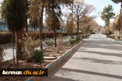بهسازی ومرمت فضای سبز پردیس خواجه نصیر الدین طوسی (برادران )دانشگاه فرهنگیان کرمان به روایت تصویر  2
