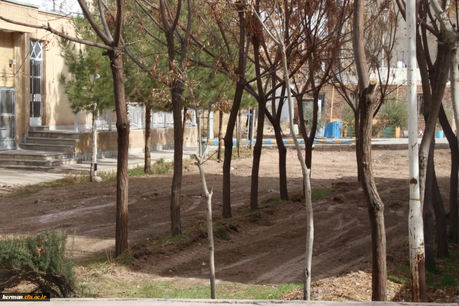 بهسازی ومرمت فضای سبز پردیس خواجه نصیر الدین طوسی (برادران )دانشگاه فرهنگیان کرمان به روایت تصویر  2