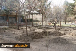 بهسازی ومرمت فضای سبز پردیس خواجه نصیر الدین طوسی (برادران )دانشگاه فرهنگیان کرمان به روایت تصویر  2