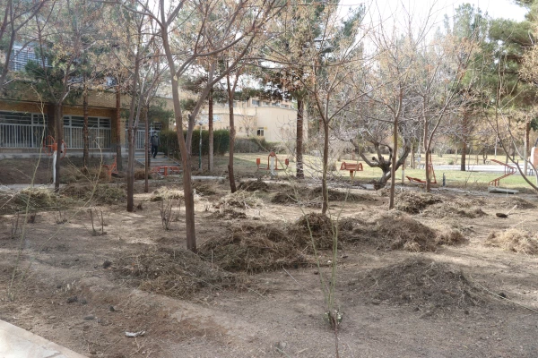 بهسازی ومرمت فضای سبز پردیس خواجه نصیر الدین طوسی (برادران )دانشگاه فرهنگیان کرمان به روایت تصویر  2