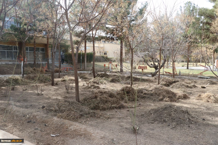 بهسازی ومرمت فضای سبز پردیس خواجه نصیر الدین طوسی (برادران )دانشگاه فرهنگیان کرمان به روایت تصویر  2