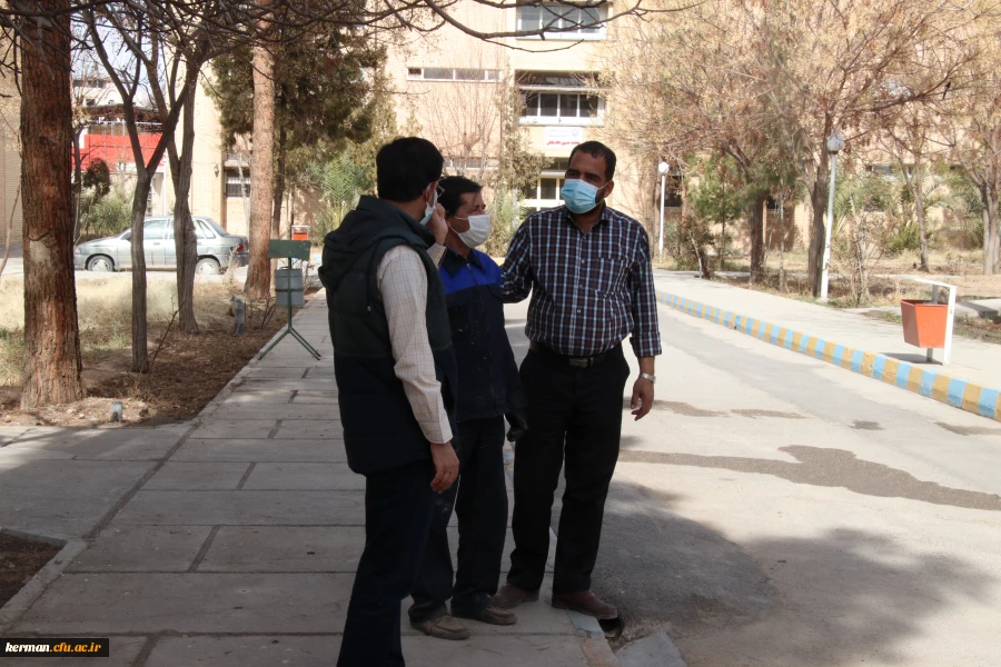 بهسازی ومرمت فضای سبز پردیس خواجه نصیر الدین طوسی (برادران )دانشگاه فرهنگیان کرمان به روایت تصویر  2