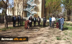 کلنگ زنی پارک مطالعه پردیس خواجه نصیر الدین طوسی دانشگاه فرهنگیان کرمان 6