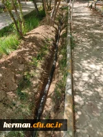 دکتر توان از فعالیت های عمرانی یردیس شهید باهنر بازدید کردند  15