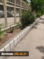 دکتر توان از فعالیت های عمرانی یردیس شهید باهنر بازدید کردند  13