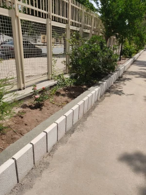 دکتر توان از فعالیت های عمرانی یردیس شهید باهنر بازدید کردند  13