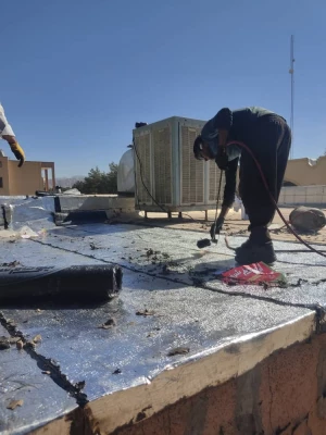 دکتر توان از فعالیت های عمرانی یردیس شهید باهنر بازدید کردند  15