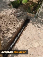 دکتر توان از فعالیت های عمرانی یردیس شهید باهنر بازدید کردند  22