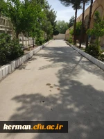 دکتر توان از فعالیت های عمرانی یردیس شهید باهنر بازدید کردند  25