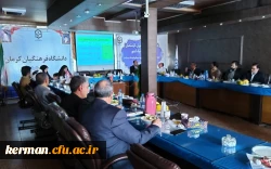 برگزاری جلسه هم اندیشی و کارگاه های تحلیلی سنجش عملکرد فعالیت های فرهنگی و اجتماعی در استان کرمان با حضور 6 استان 3