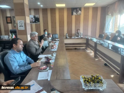 آسیب شناسی واحد کارورزی در نواحی آموزش و پرورش شهر کرمان