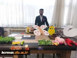  مرحله منطقه ای دهمین جشنواره تدریس برتر، منطقه ۸  17